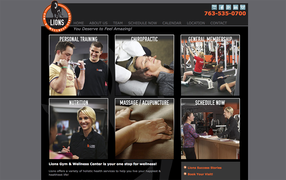 Lions Gym website